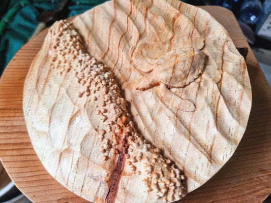 Baby sea turtle, 3D STL Model, CNC Router Engraver, Artcam, Aspire ,3D printing